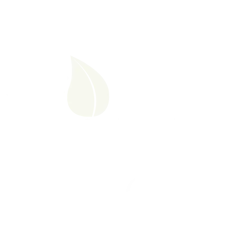 Viva de Boa